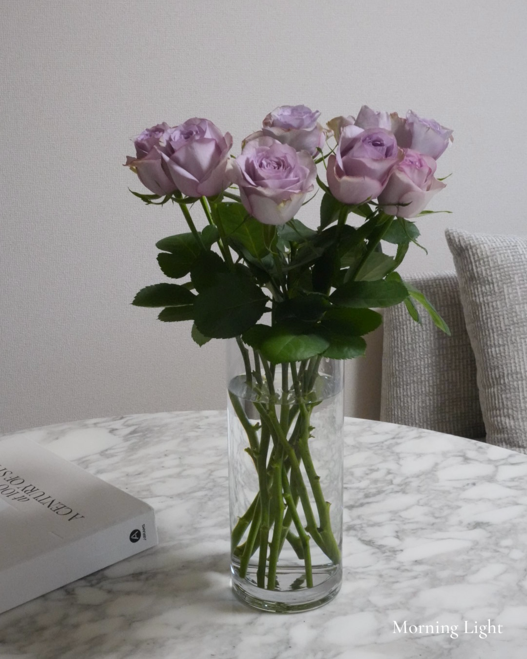 Mist Lilac Rose