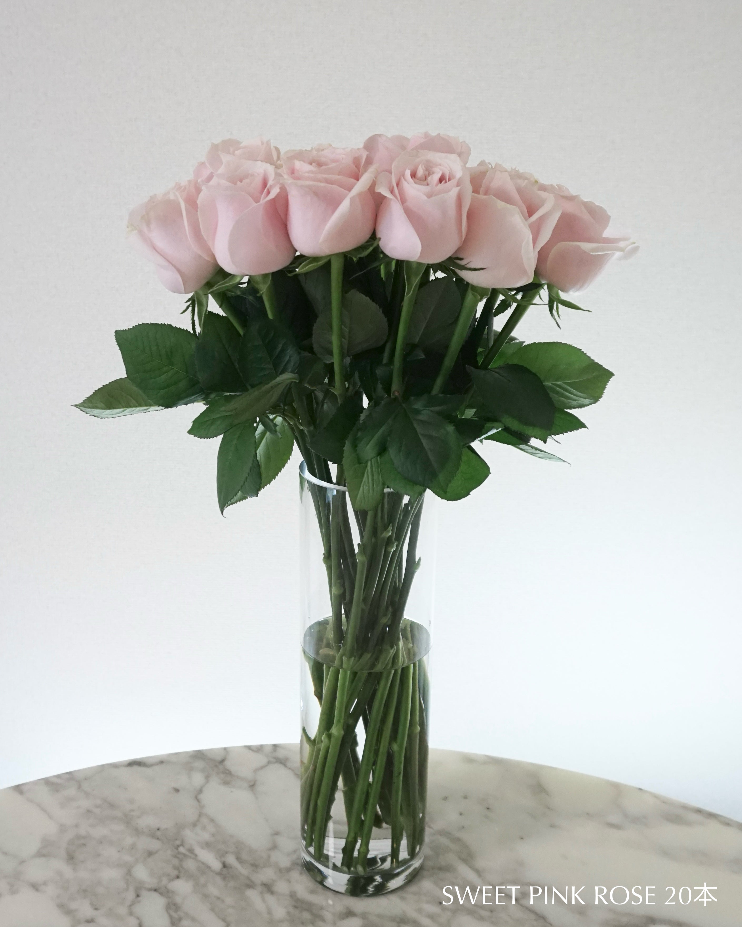 SWEET PINK ROSE