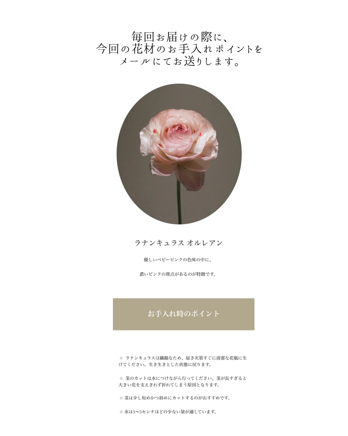 Minimal Luxe 定期便