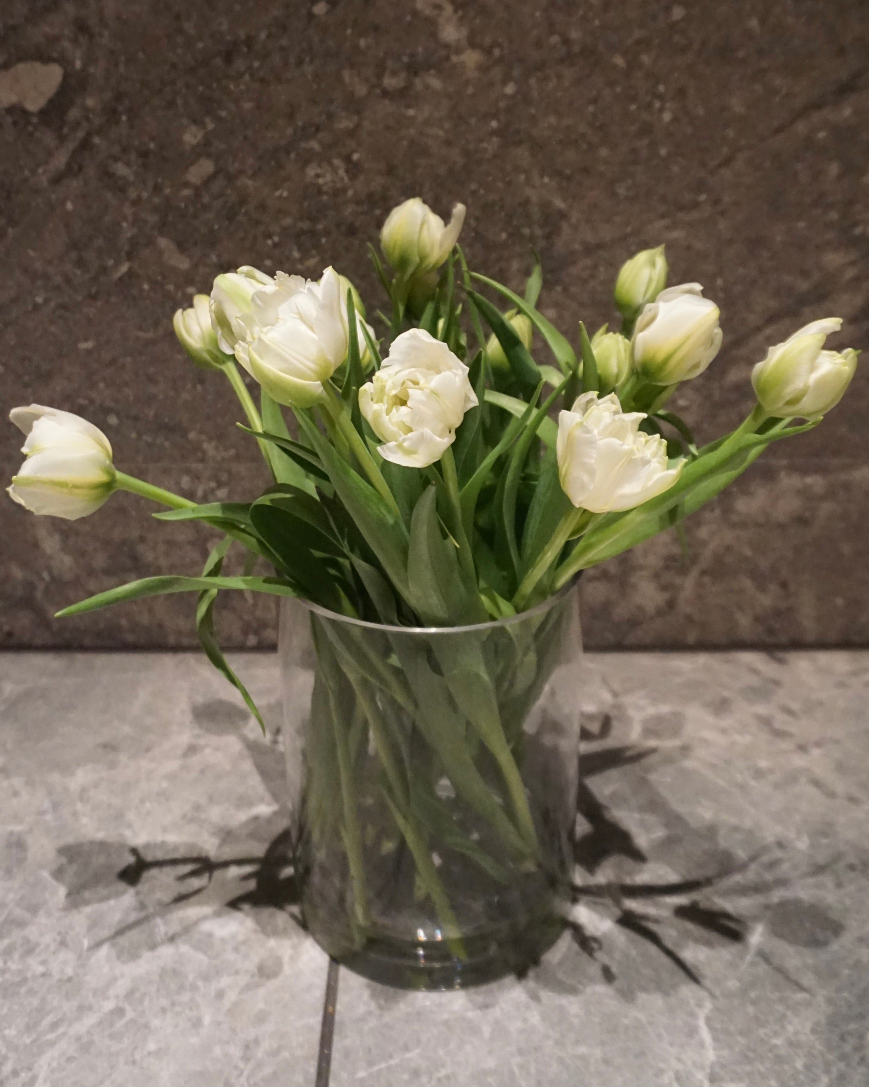 WHITE TULIPS