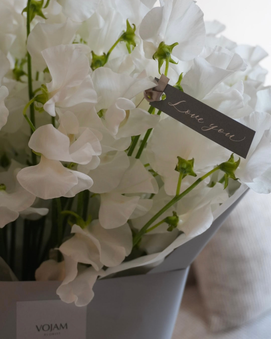 WHITE SWEET PEA