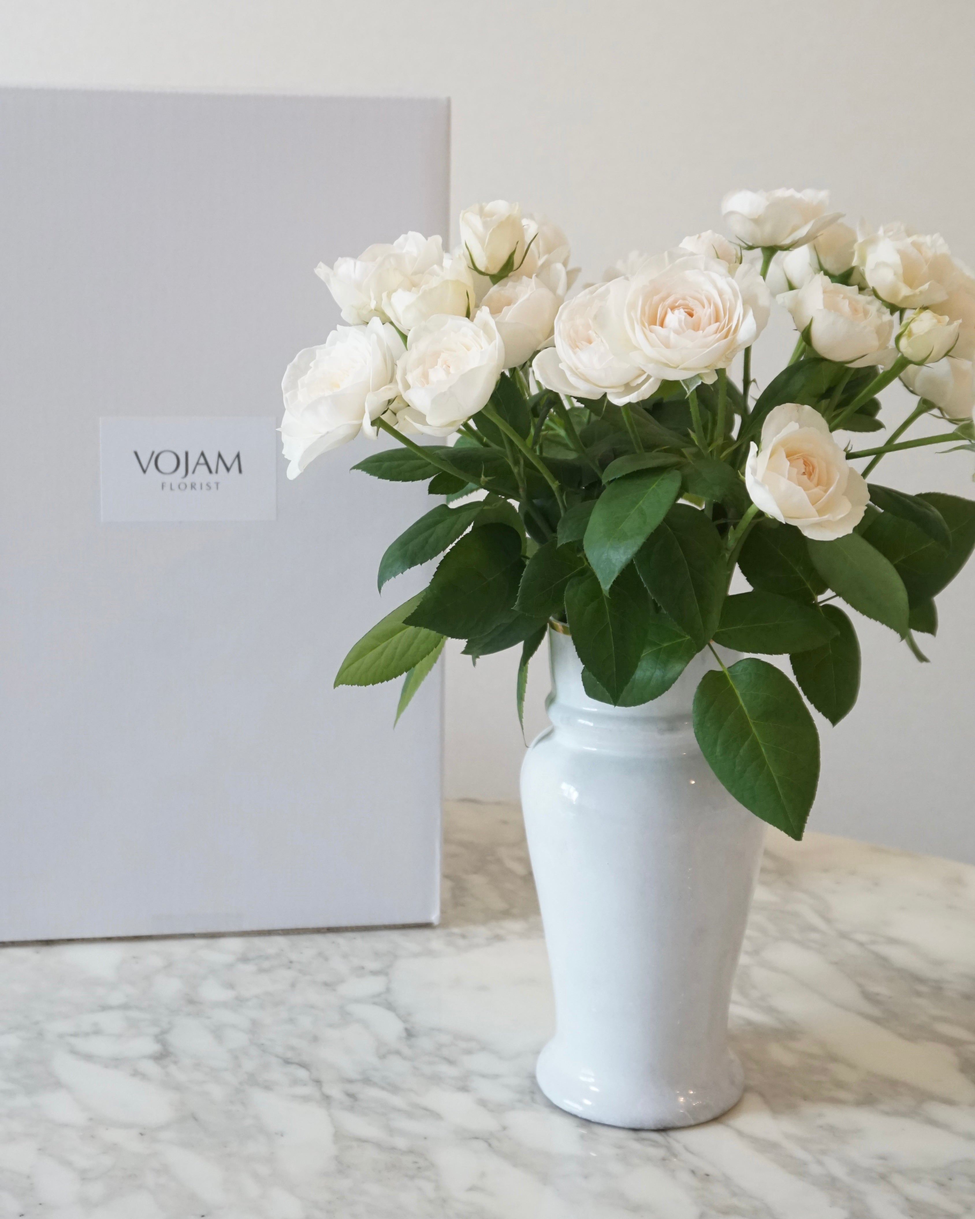 VOJAM Daily Light