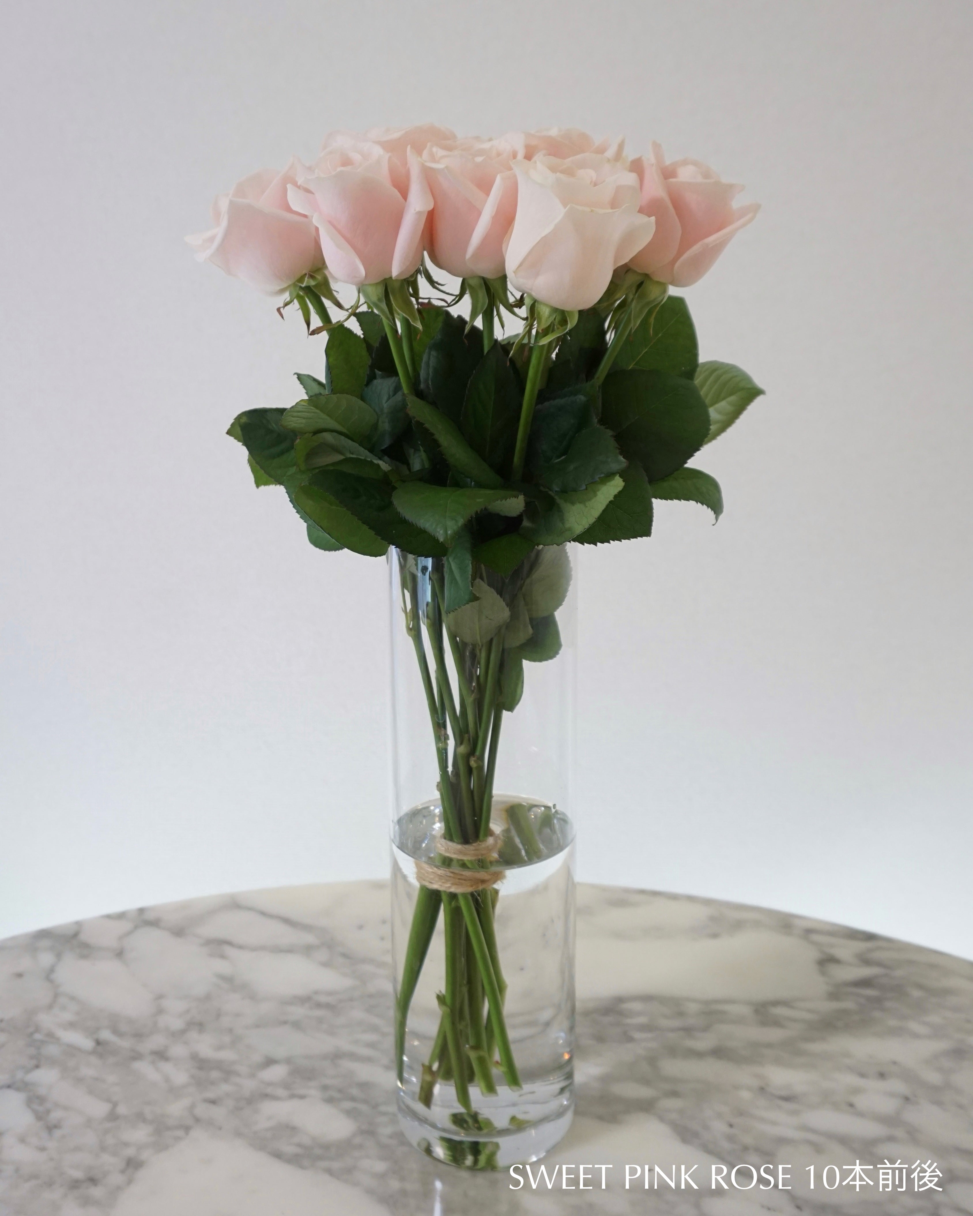 SWEET PINK ROSE