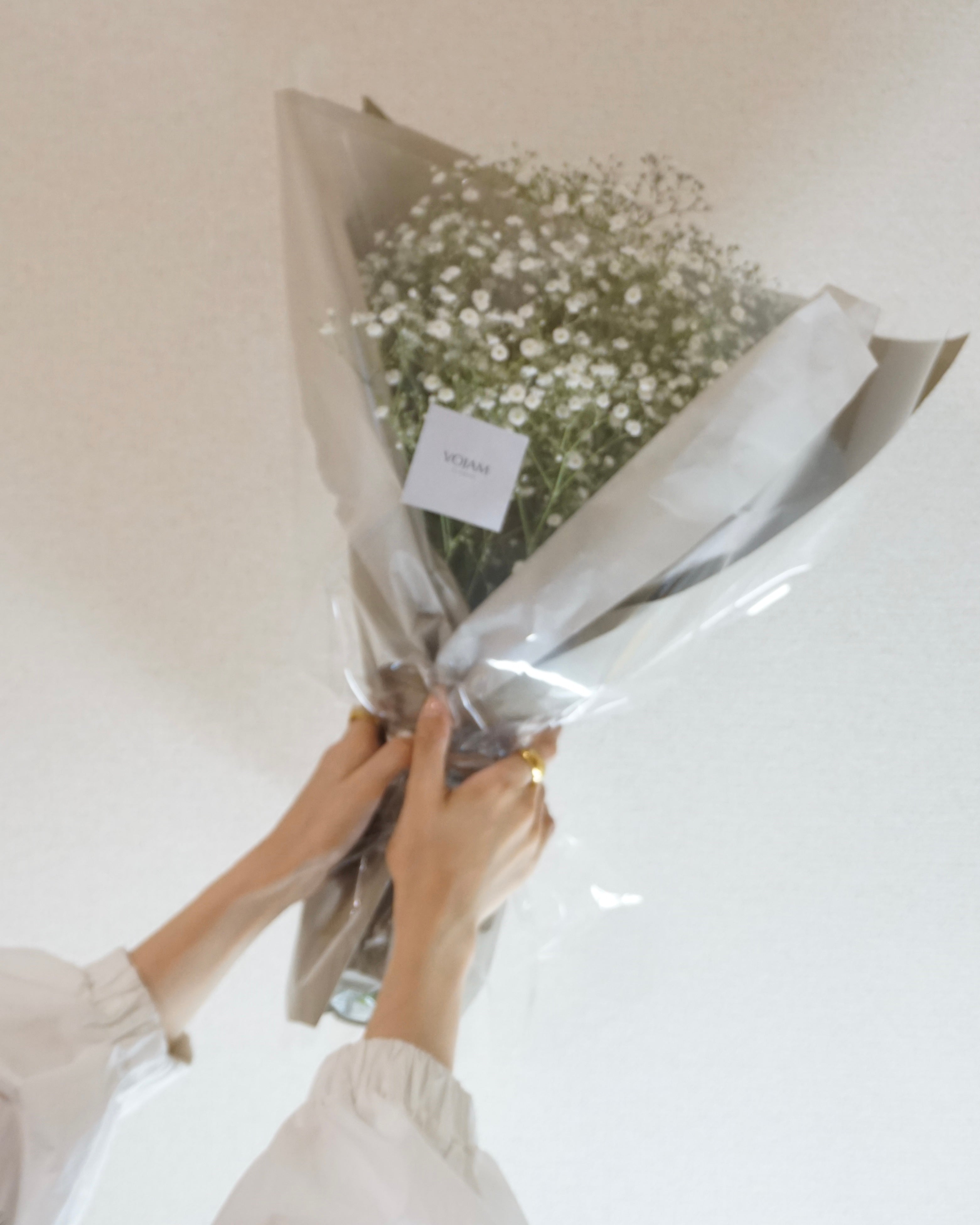 baby's breath
