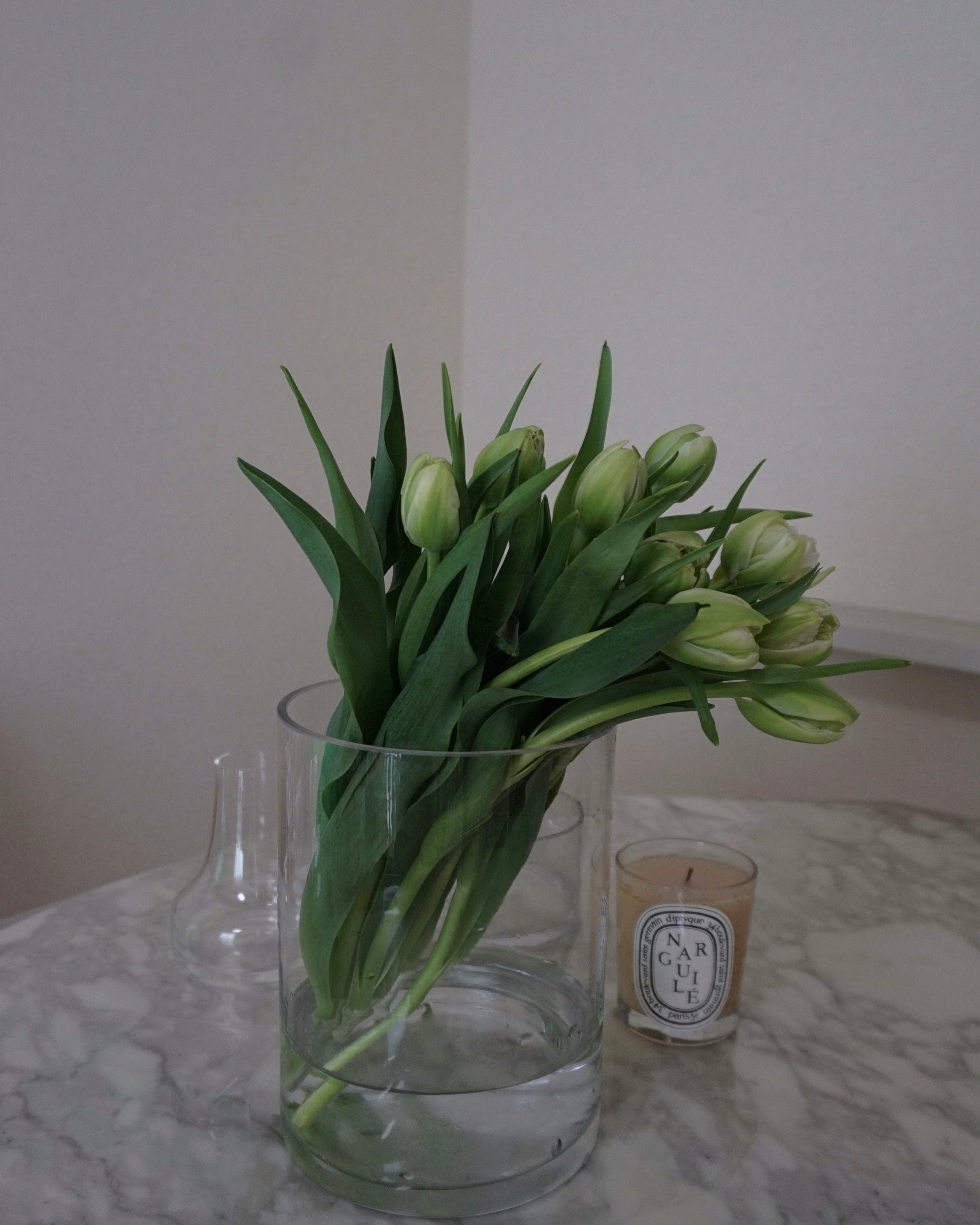 WHITE TULIPS