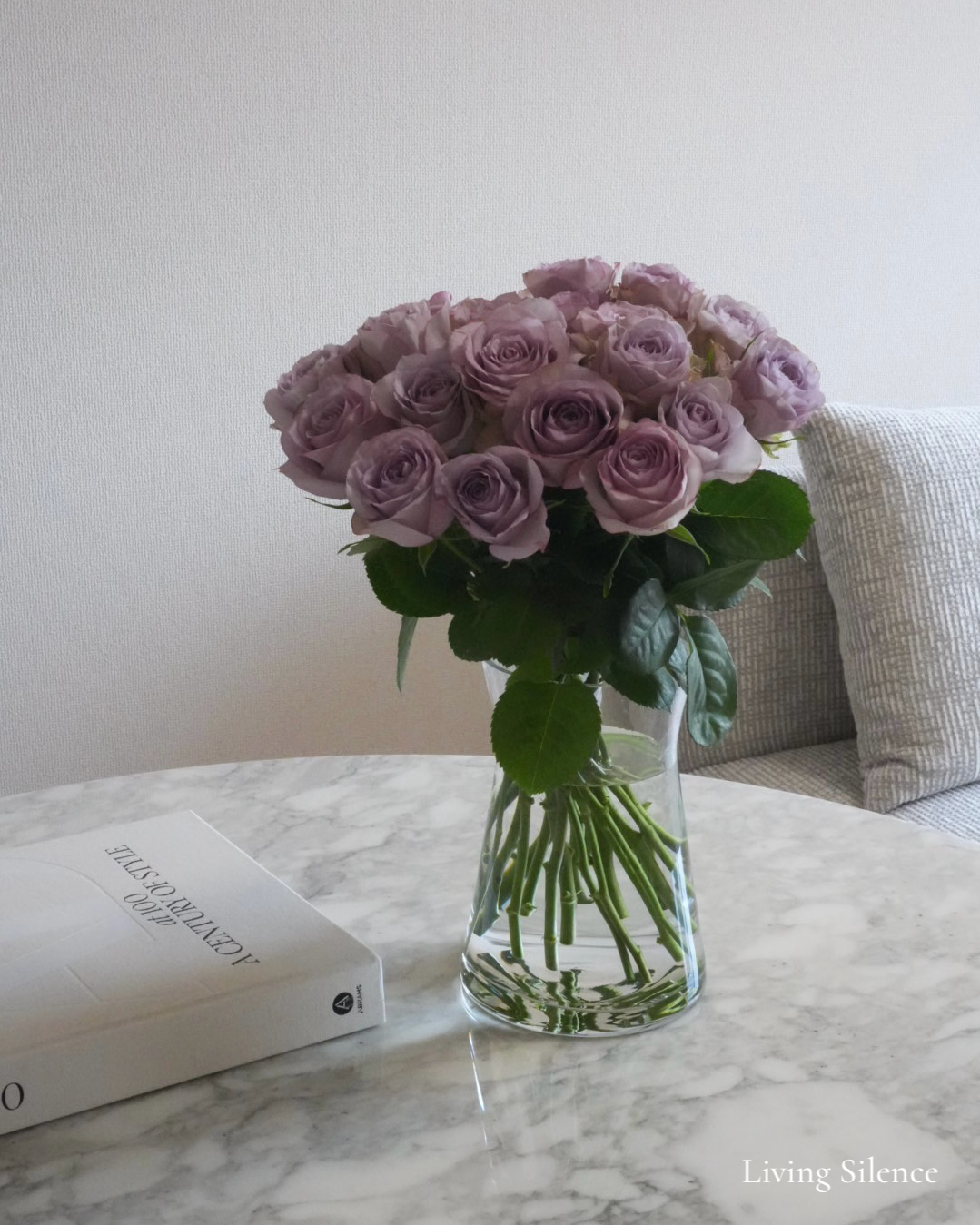 Mist Lilac Rose