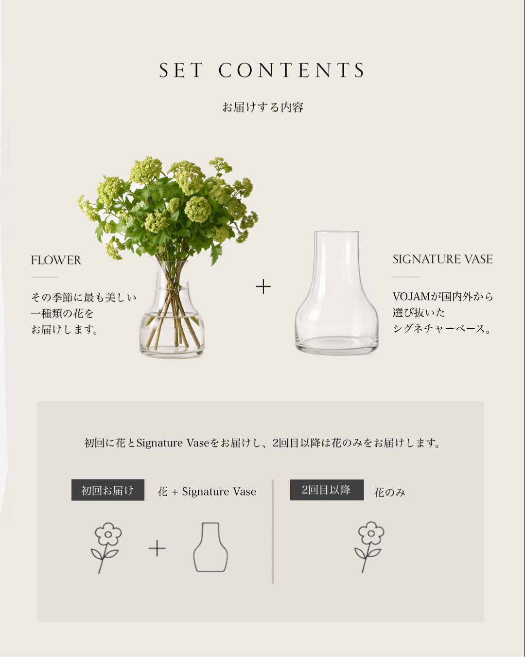 VOJAM DAILY LIGHT – SIGNATURE START SET
