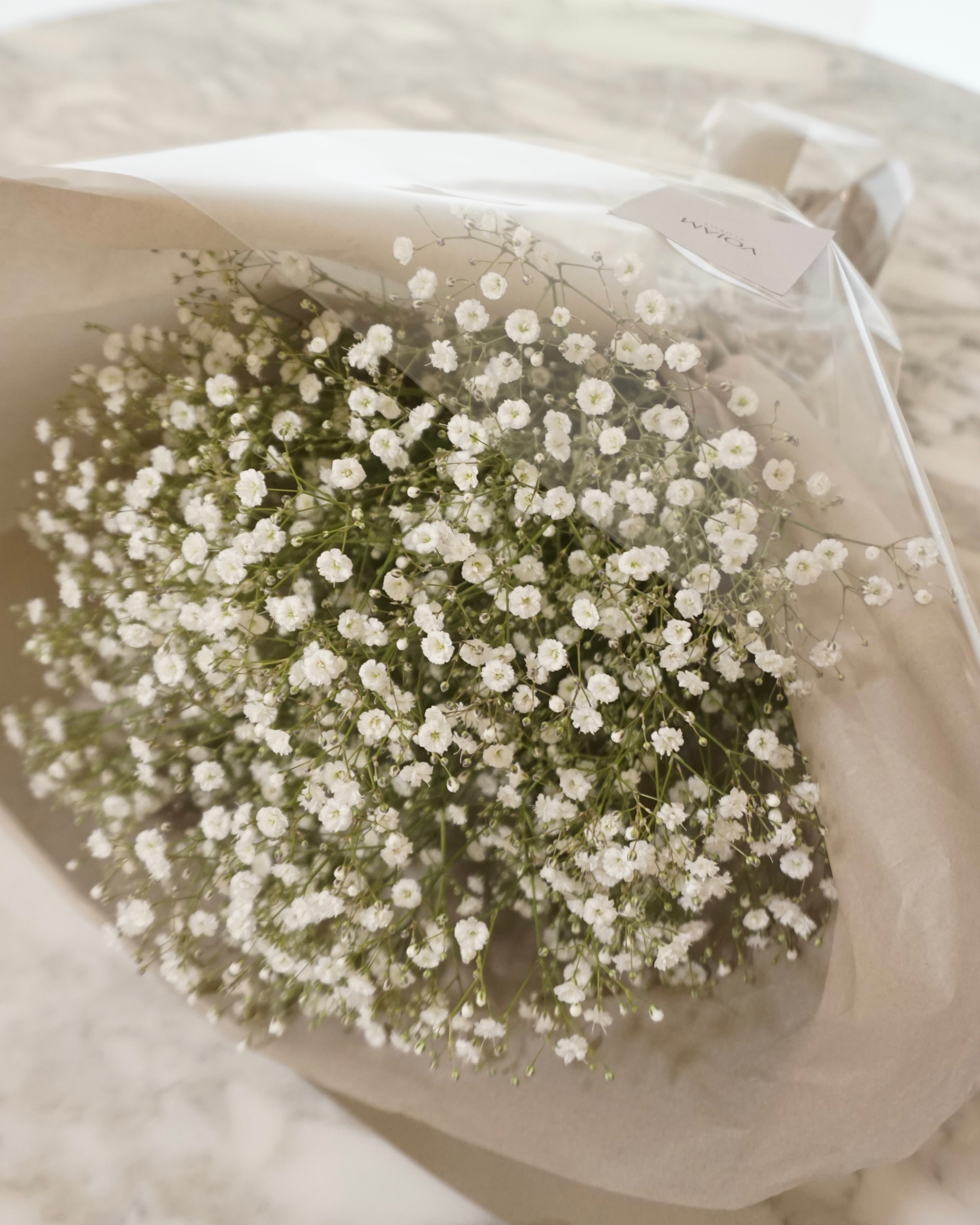 baby's breath