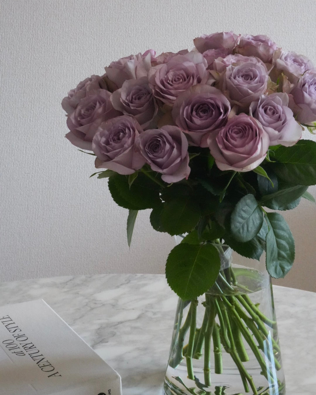 Mist Lilac Rose