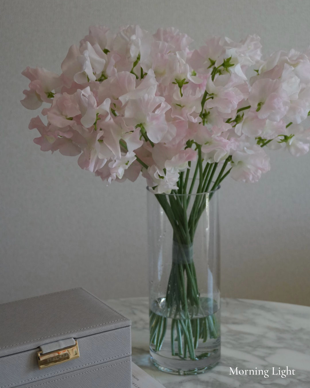 SILK SWEET PEA